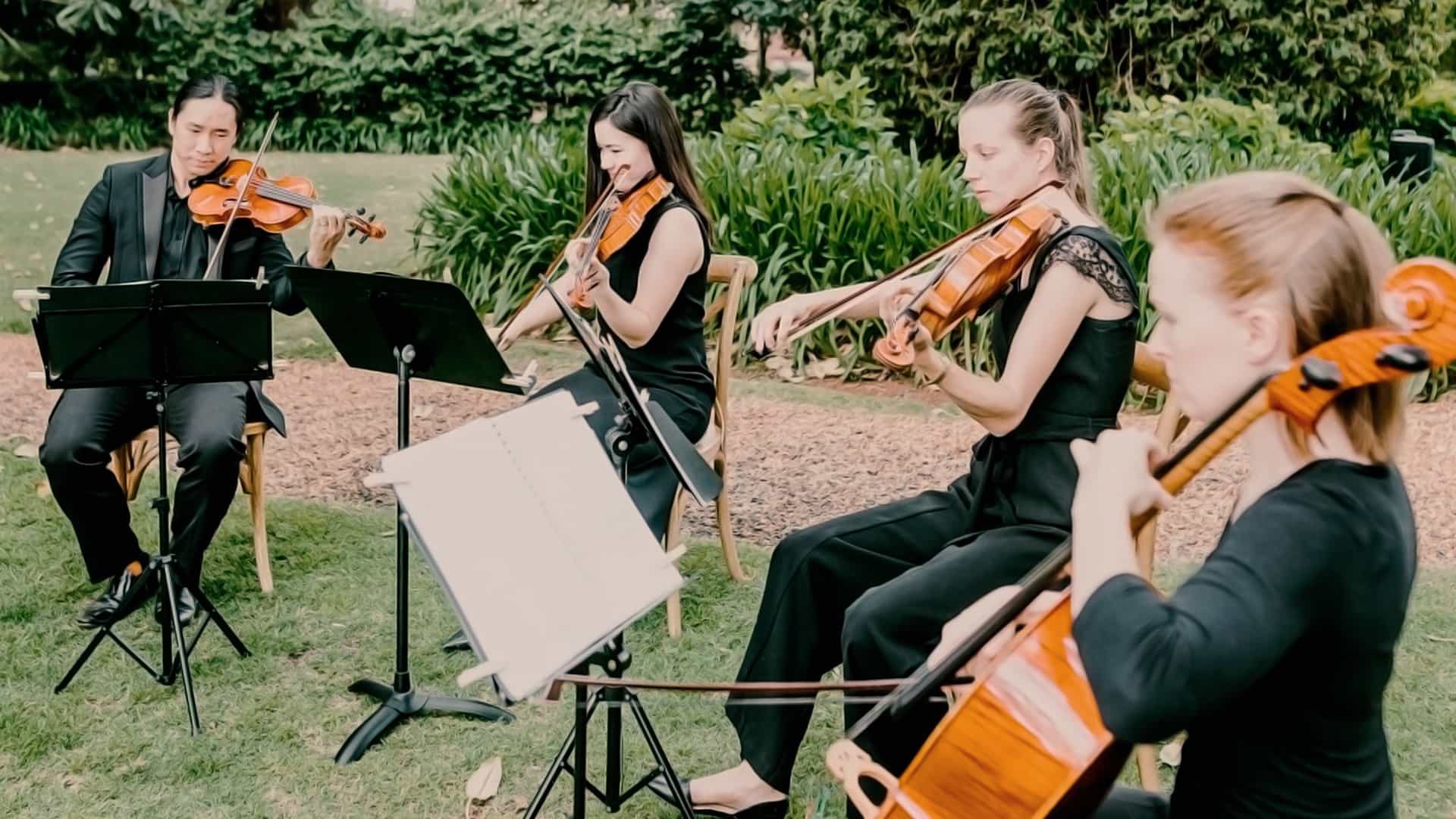 String Musicians Australia - Wedding Musicians